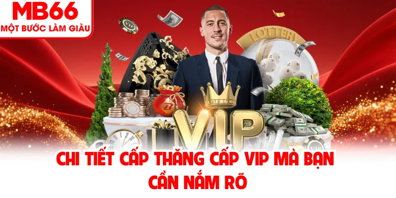 Chi tiết cấp thăng cấp VIP mà bạn cần nắm rõ Chi tiết cấp thăng cấp VIP mà bạn cần nắm rõ